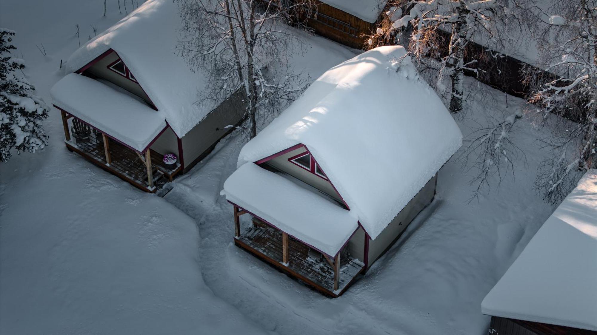 Downtown Talkeetna Cabin! Susitna Cabin Kültér fotó