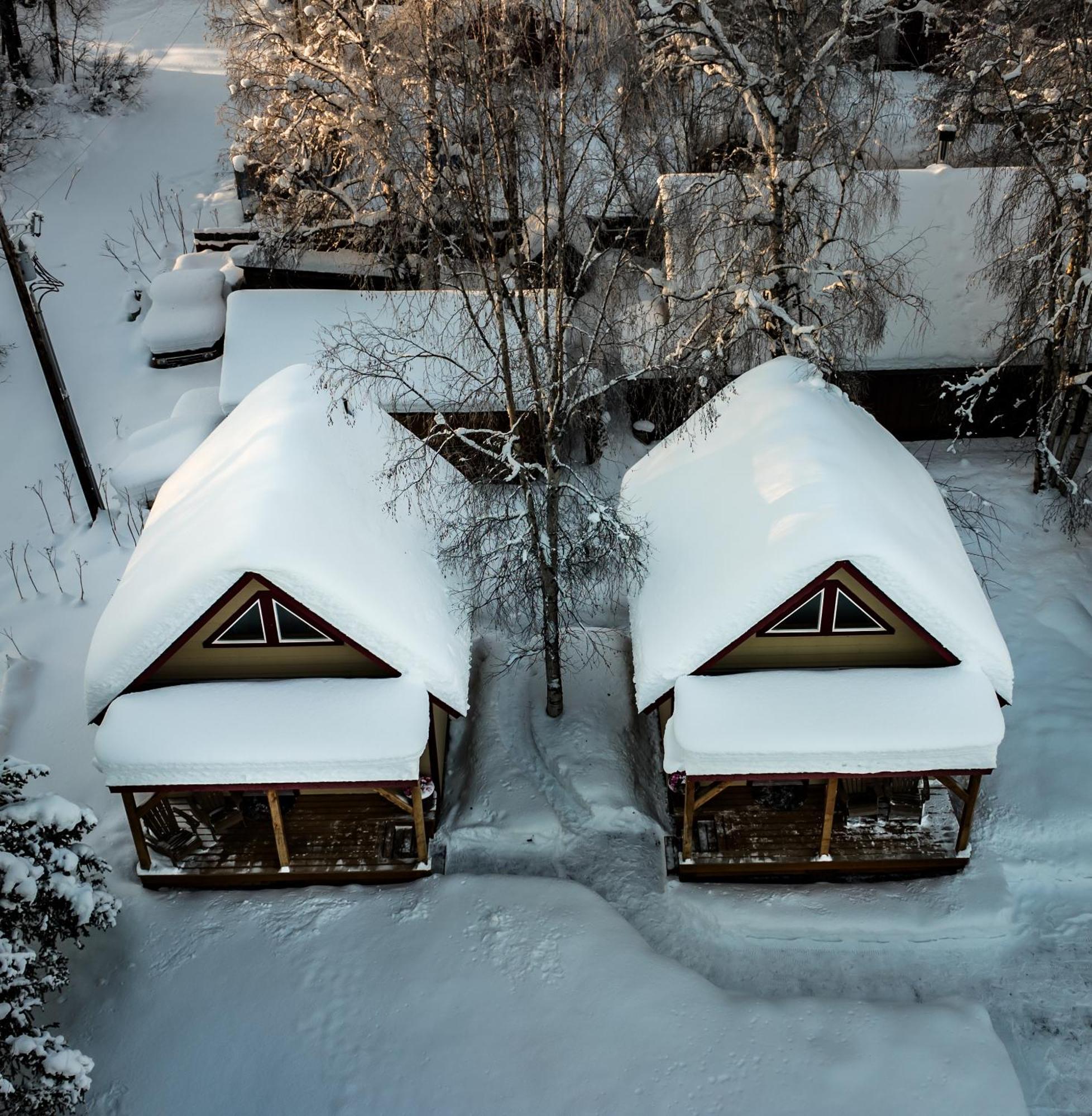 Downtown Talkeetna Cabin! Susitna Cabin Kültér fotó